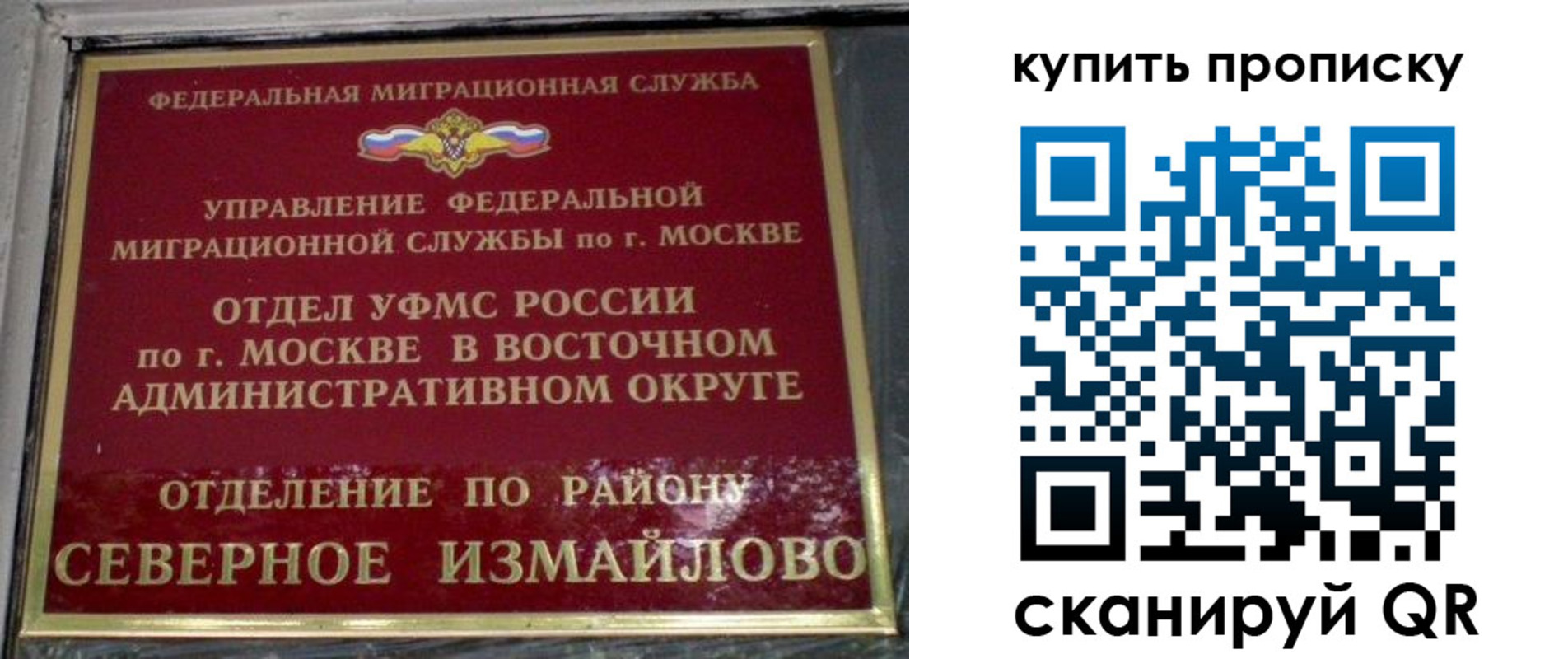 прописка в квартире в Емве